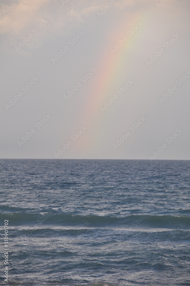 Rainbow Rainbow