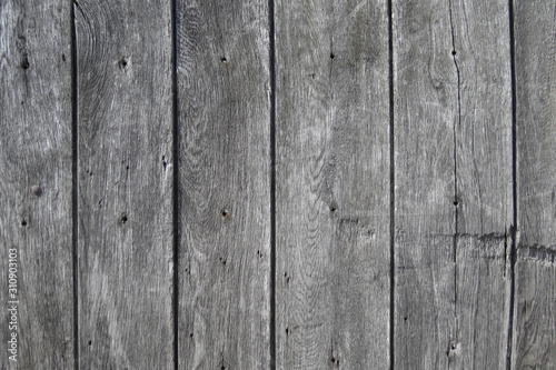 grey wood texture background