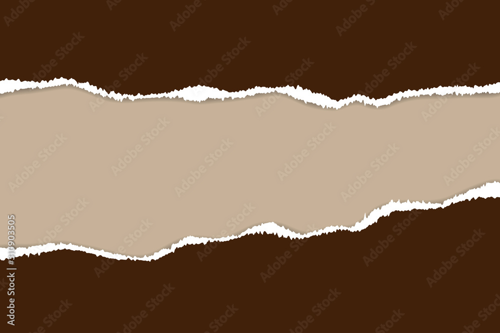 Ripped paper. Vector of ripped paper. The paper was ripped background.