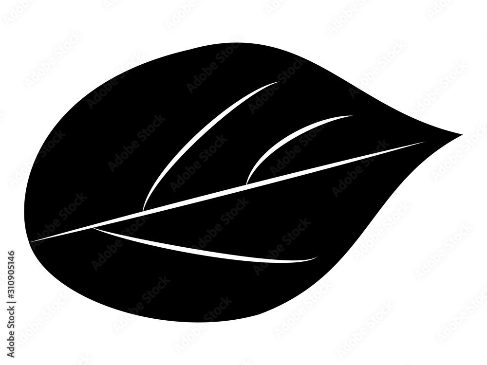 白黒の植物(葉っぱ)のデザイン 白黒の植物(葉っぱ)のデザイン
