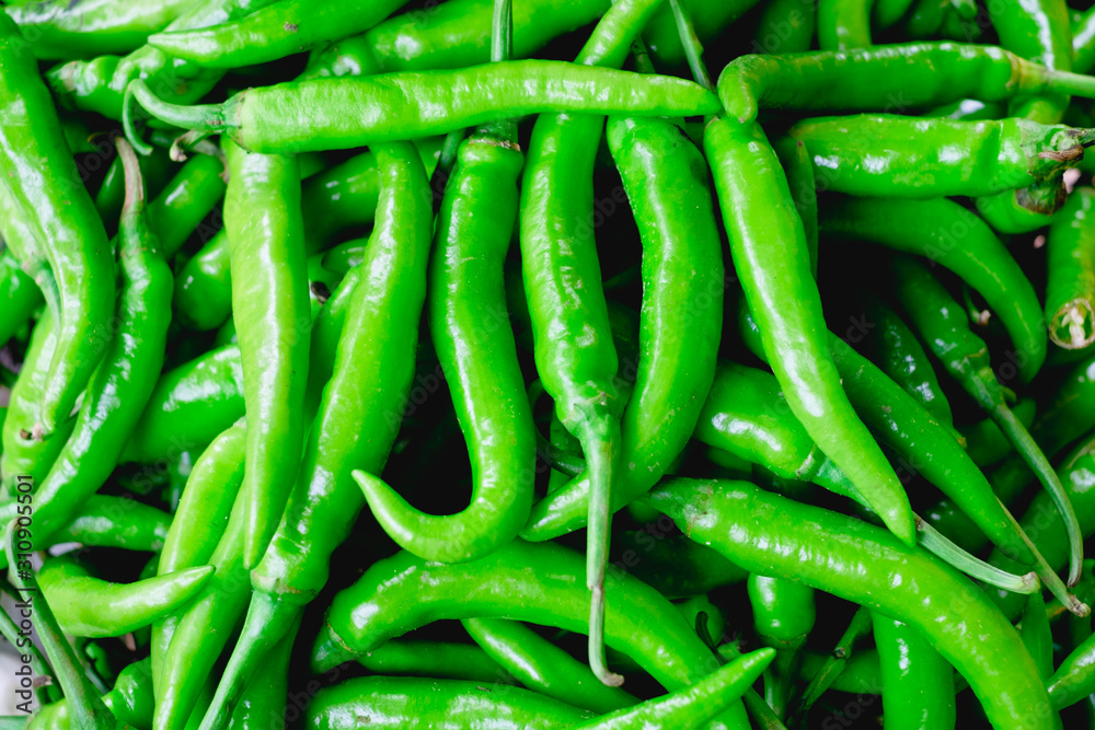 Closeup of freshly picked organic green chili peppers. This pepper is very nutritious packed with high in antioxidant, contains vitamins and minerals, and helps lose weight. Flay lay. Copy space. Sele Closeup of freshly picked organic green chili peppers. This pepper is very nutritious packed with high in antioxidant, contains vitamins and minerals, and helps lose weight. Flay lay. Copy space. Sele