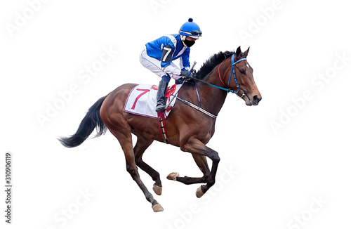 Fotografering horse jockey racing isolated on white background