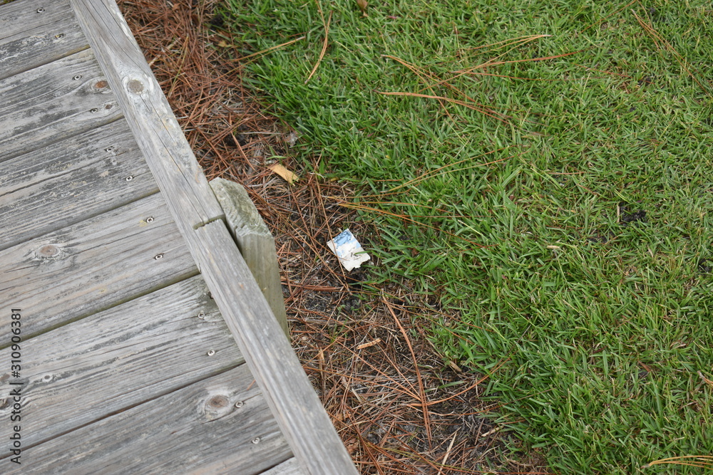 Obraz premium Trash left behind