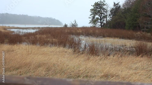 Wallpaper Mural Salt Water Marsh Torontodigital.ca
