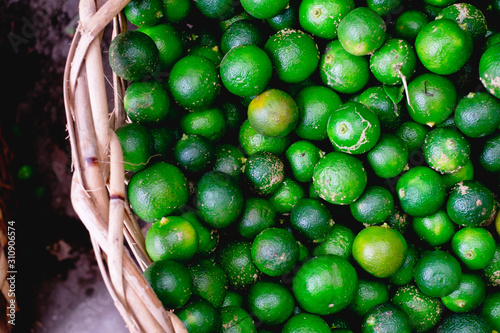 Basket full of organic unripe and ripe Calamansi or kalamansi AKA calamondin or Philippine lime. This food aids digestion and weight loss. Copy space. Selected focus. photo