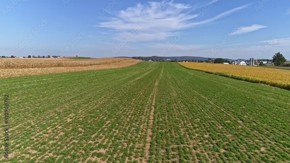 Harvested Corn Fields and Rolled Corn Stalks and Amish Farm Steads and a One Room School House as Seen by a Drone Harvested Corn Fields and Rolled Corn Stalks and Amish Farm Steads and a One Room School House as Seen by a Drone