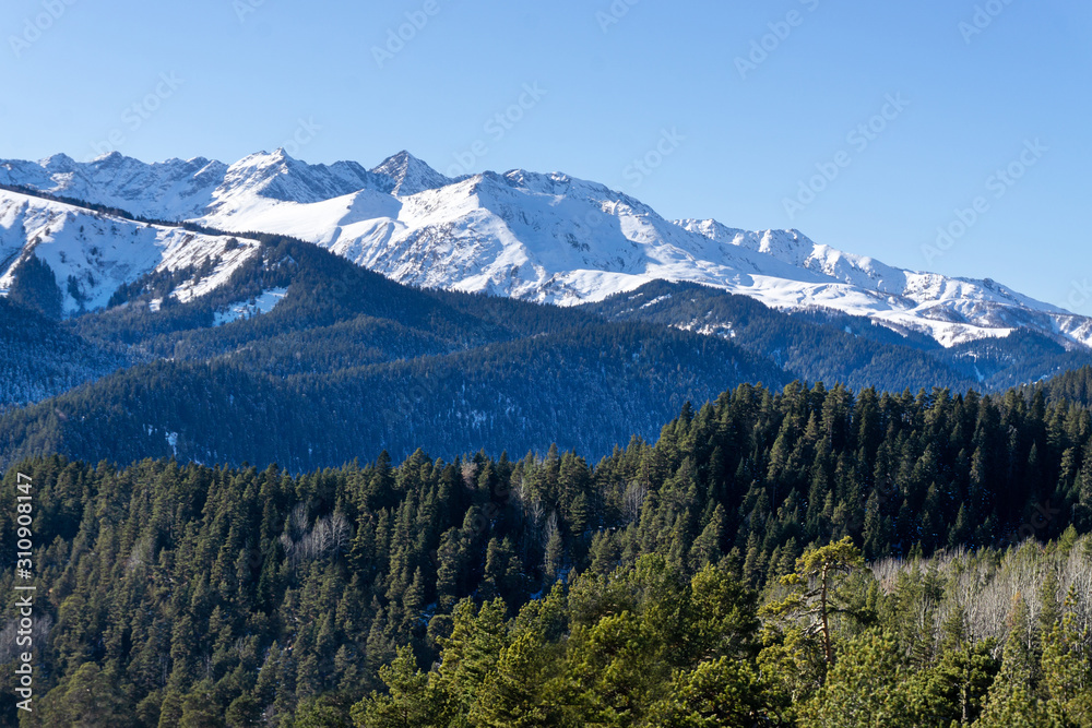 Winter sunny landscape with snowy peaks of mountain ranges with green trees and blue sky