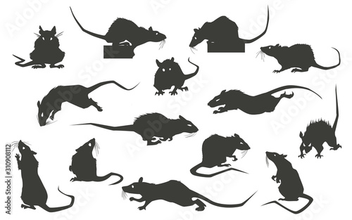 Obraz na płótnie Rats silhouettes set