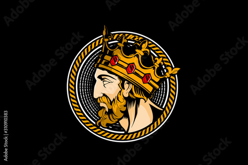 king head character vector logo template