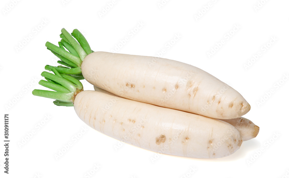 Daikon radishes isolated on white background Daikon radishes isolated on white background