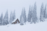 Wood Cabin House in the Mountains. Winter landscape Huge Snow Trees