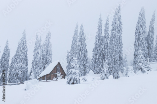 Wood Cabin House in the Mountains. Winter landscape Huge Snow Trees © Dan