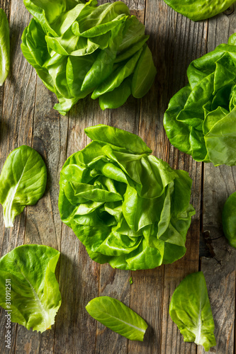 Photos Raw Green Organic Butter Lettuce