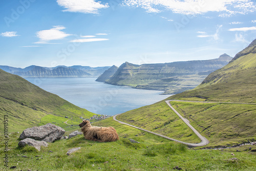 Funnigur Faroe Islands photo