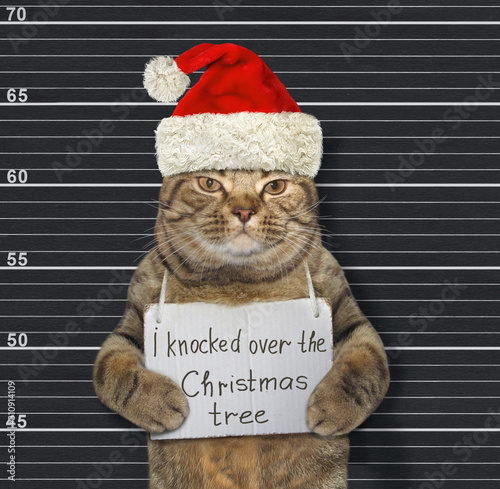 The beige cat in a red Santa Claus hat with a sign on his neck that says I knocked over the Christmas tree is in a prison. Black lineup background.