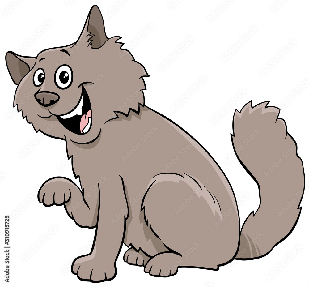 fluffy cat cartoon animal character fluffy cat cartoon animal character