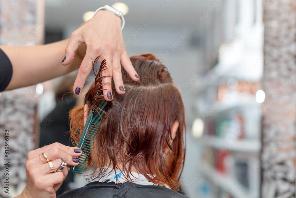 Woman getting a new haircut. Female hairstylist cutting hair with scissors in hair salon. Hairdresser hold in hand between fingers lock of hair, comb and scissors closeup. Woman getting a new haircut. Female hairstylist cutting hair with scissors in hair salon. Hairdresser hold in hand between fingers lock of hair, comb and scissors closeup.