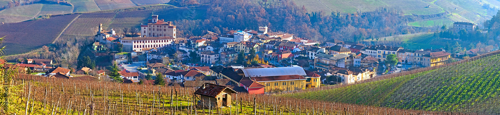 Winter view of the village of Barolo, the most famous town of the Langhe region, Piedmont, Italy, for the production of several fine wines