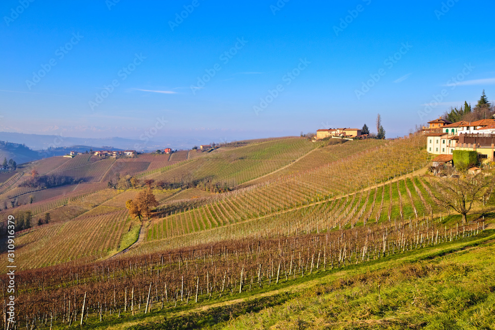 Morning winter view on landscape of smooth hills with rows of vineyards in the Langhe region, Cuneo, Piedmont, Italy Morning winter view on landscape of smooth hills with rows of vineyards in the Langhe region, Cuneo, Piedmont, Italy