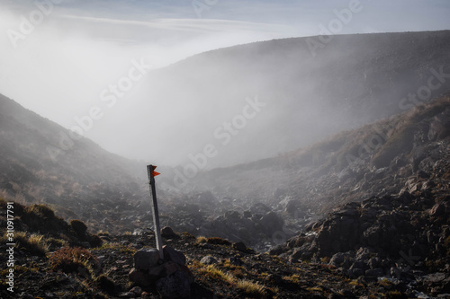 Canvastavla Tongariro National Park, New Zealand