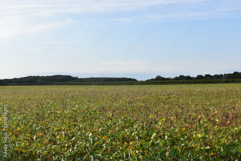 landscape in New Jersey