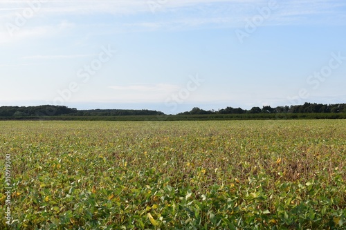 landscape in New Jersey