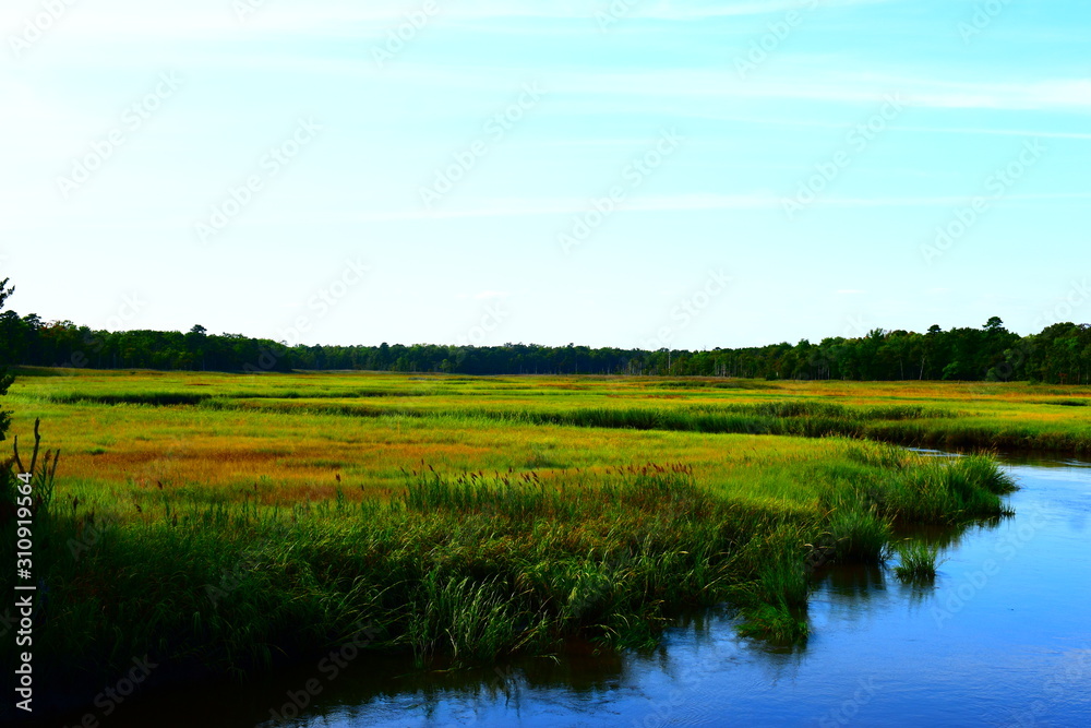 Fototapeta premium New Jersey wetlands