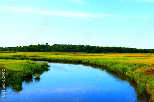 New Jersey wetlands © Christian
