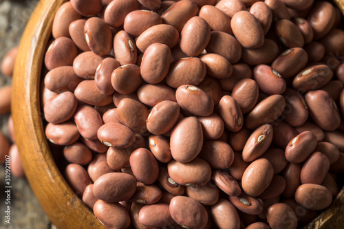 Raw Organic Dry Pink Beans