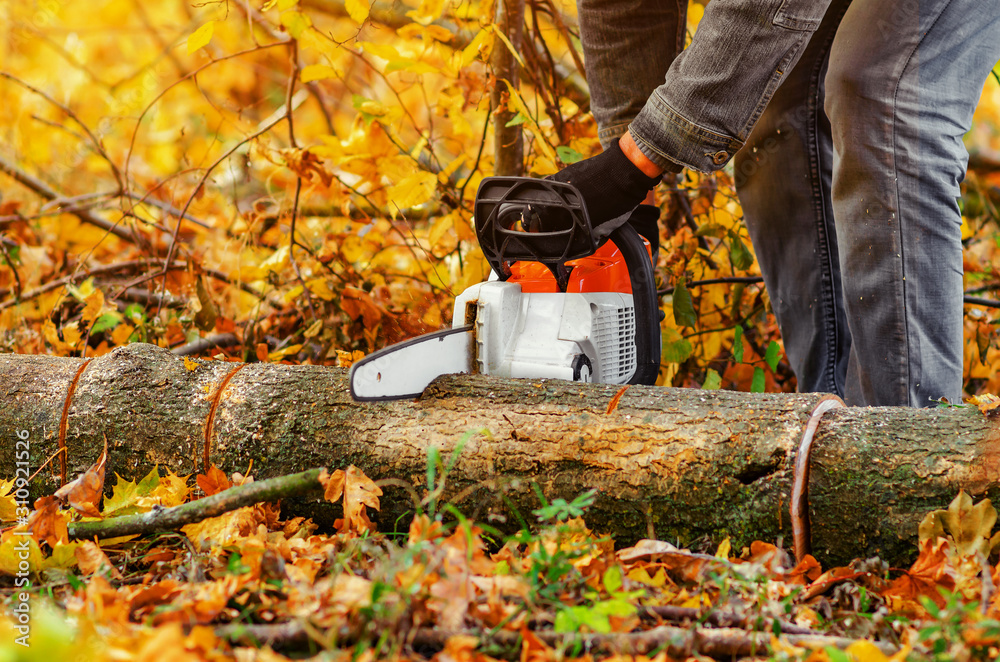 Close up of a lumberjack cutting old wood with a chainsaw Close up of a lumberjack cutting old wood with a chainsaw