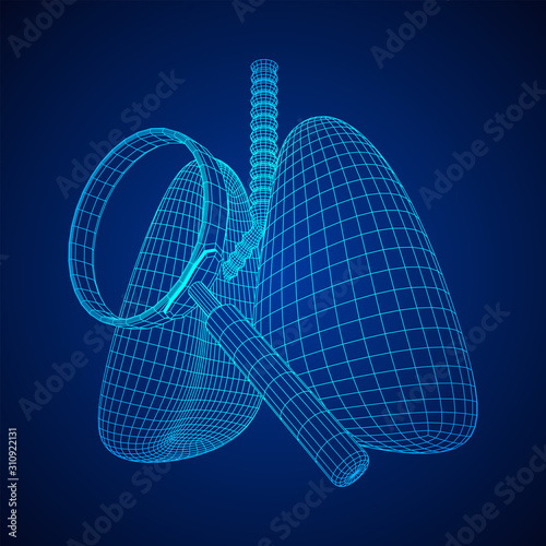 Lungs with trachea bronchi internal organ human with magnifying glass. Pulmonology medicine science analysis concept. Wireframe low poly mesh vector illustration