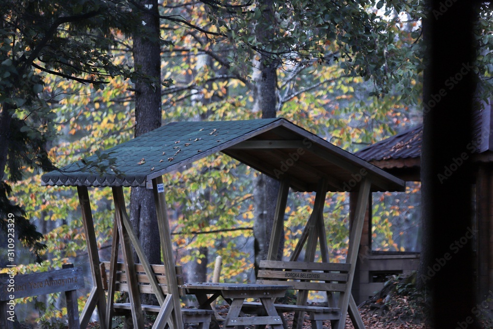Colorful autumn landscape in the mountain village. Colorful autumn landscape in the mountain village.