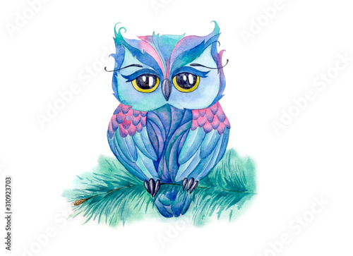 Cute colorful watercolor owl sitting on a fir tree brunch illustration. Hand drawn illustration. T-shirt print. Greeting card. Poster owl.  © Elena