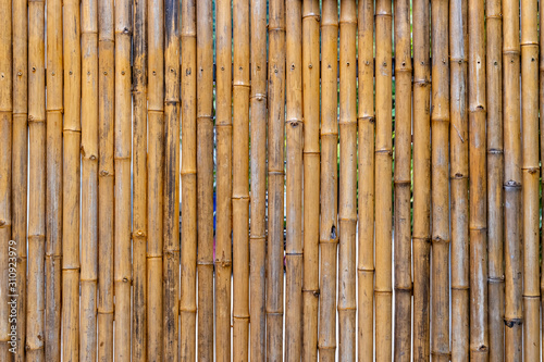 Bamboo stick background or patterns. Dried up bamboo plants used as a fence