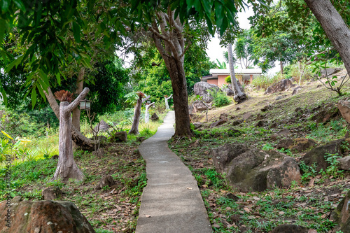 Narrow concrete uphill walkway through the mountain and forests leading to Viewpoint 1 and 2 in Phi Phi Island in Thailand. photo