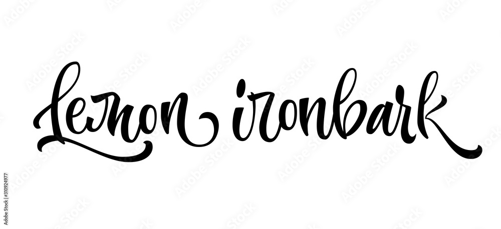 Lemon ironbark - vector hand drawn calligraphy style lettering word. Isolated script spice text label. Labels, shop design, cafe decore etc