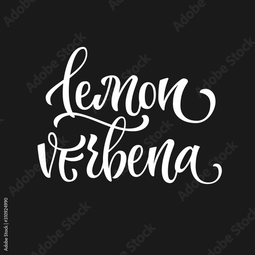 White colored hand drawn spice label - Lemon verbena. Isolated calligraphy scrypt stile word. Vector lettering design element.