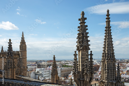 Seville cathedral decorations close view from the cathedral roof © Pavel Kirichenko