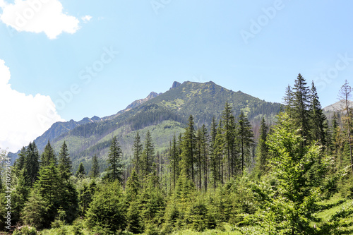 landscape in the mountains. Nice view of the mountains. Polish Tatras in the summer.