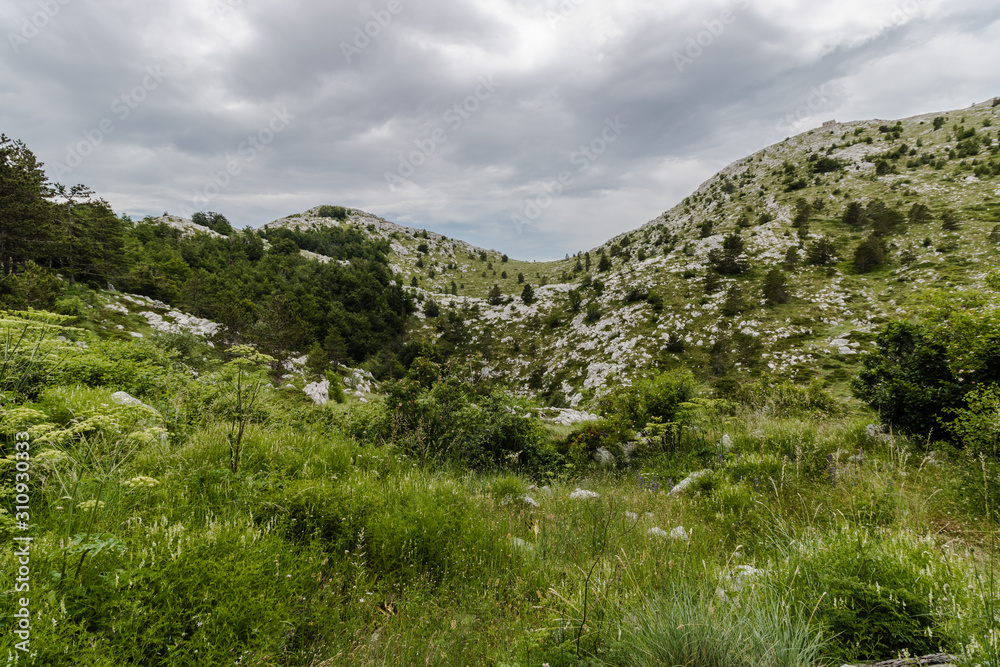 Pure nature on the mountain Pure nature on the mountain