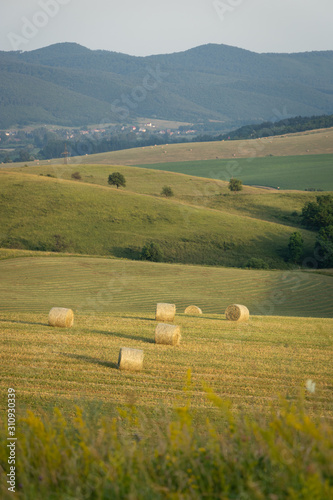 Hungarian countryside near the village of Balaton in Heves county. Hay bales and green hills