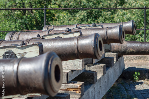 Obraz na płótnie Cannon aiming at the botanical garden in Uppsala, Sweden w salonie