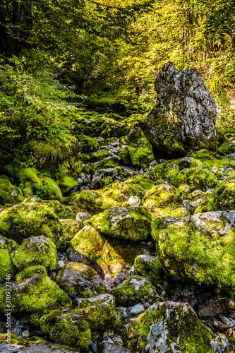 Stones Covered By Moss - Prokletije, Montenegro © zm_photo