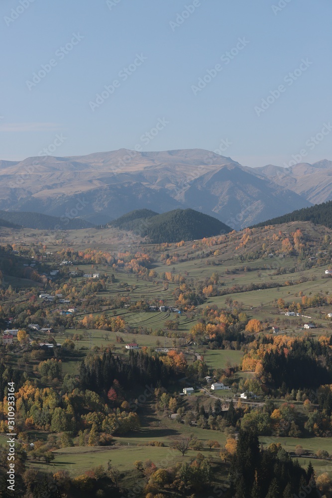 Fototapeta premium Colorful autumn landscape in the mountain village. 