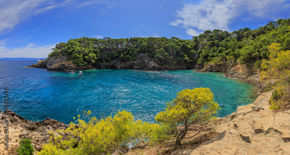 Summertime: Tremiti Islands' archipelago. San Domino island: Cove Spido (Cala Spido). Gargano National Park (Apulia) Italy: scenic view of tipycal rocky coastline with Aleppo pines
