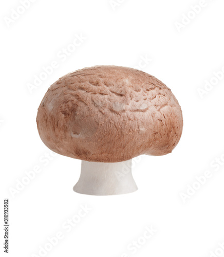 fresh single champignon isolated on a white background