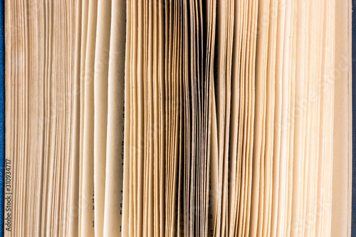 Pages of an open book close up