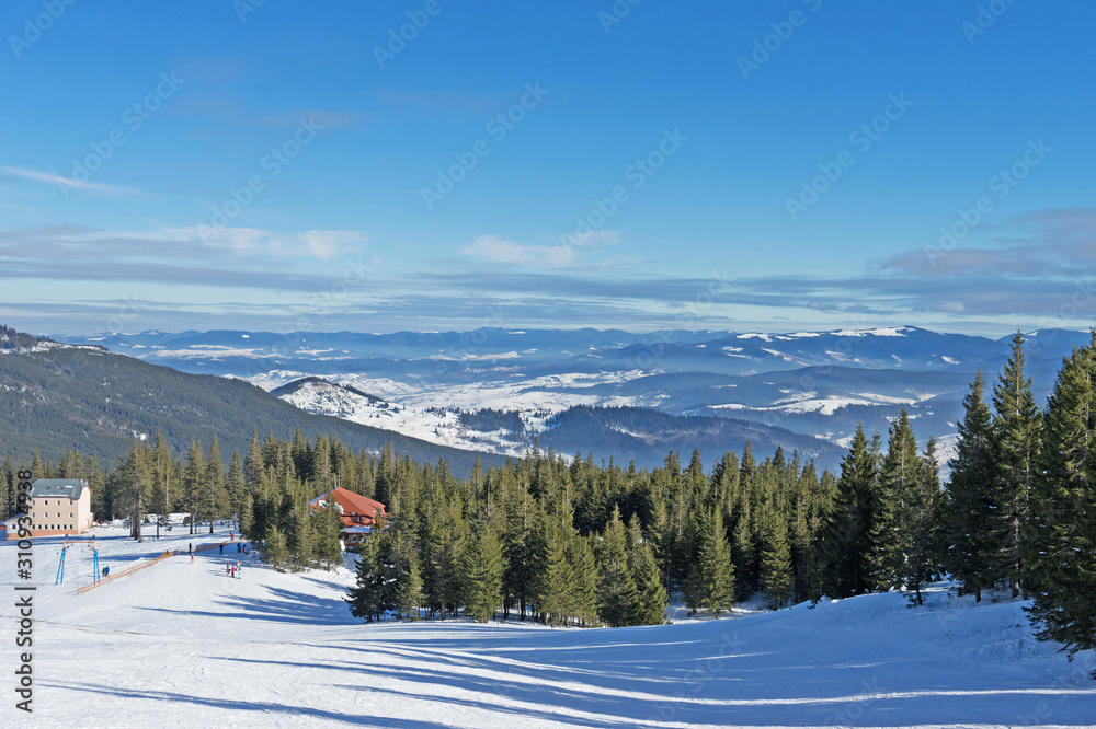 Freeride in carpathians mountain. Dragobrat Ski resort