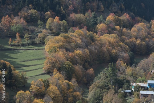 Autumn mountain forest village landscape. Mountain village in autumn. Mountain forest village in autumn. Autumn mountain village view