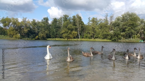 Fototapeta Naklejka Na Ścianę i Meble -  Mazury